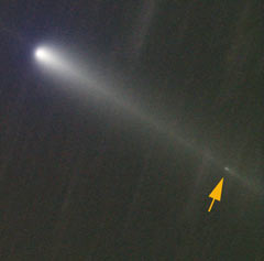 New comet discovered in the dust trail of Comet 213P Van Ness