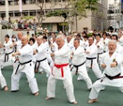 Karate demonstration on Karate Day