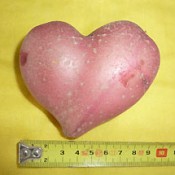 Yonamine digs up heart-shaped potato