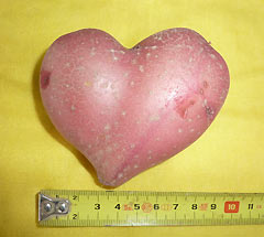 Yonamine digs up heart-shaped potato