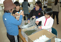 Spring gifts to disaster areas － first-pick tea to be sent from Oku in Kunigami