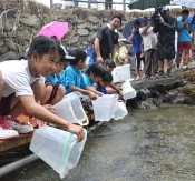 Children release Ryukyu-ayu fry into the Genka River