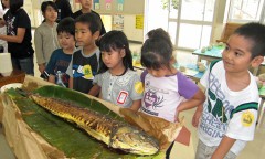 Large <em>manbika</em> fish served in Kitanakagusuku school lunches