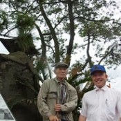 Shoji and Akira Yoshimi grow Okinawa pines in Kagoshima for the last 40 years