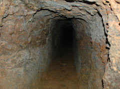 One of the largest wartime shelters discovered in northern Okinawa found in Motobu