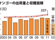 Okinawa Prefecture anticipates 30% lower mango production in 2012