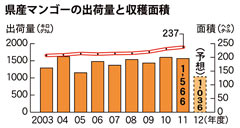 Okinawa Prefecture anticipates 30% lower mango production in 2012