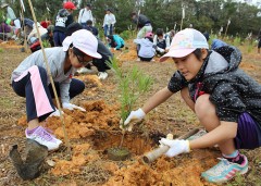 Afforestation project for Shuri Castle starts in Higashi-son