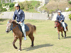 Okinawan traditional horse racing to be revived