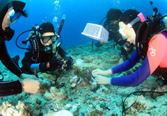 Scuba diving group launches campaign to save coral reef