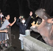 Parents and children enjoy night zoo