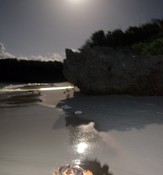 Crabs spawn under full moon