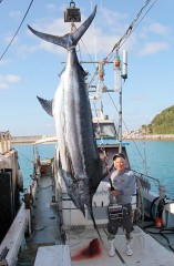 Big blue marlin caught off the coast of Kumejima