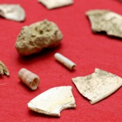 Japan's oldest shell tools found in Sakitari Cave in Okinawa
