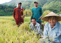Trainees from the Philippines help elderly rice farmers in Tokashiki