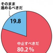 Poll finds 80% of residents favor stopping Henoko relocation work
