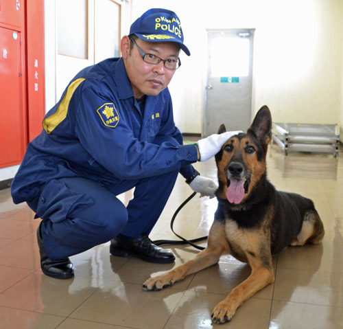 Police dog Daniel awarded for finding missing boy 