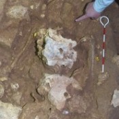 Human bones dating back 9,000 years found at Sakitari Cave