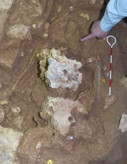 Human bones dating back 9,000 years found at Sakitari Cave