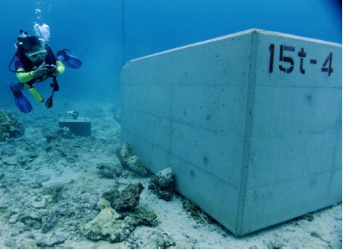 US base construction: 20-ton concrete blocks destroy coral in Oura Bay