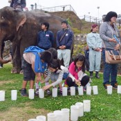 Elephants return to Fukushima after spending winter in Okinawa