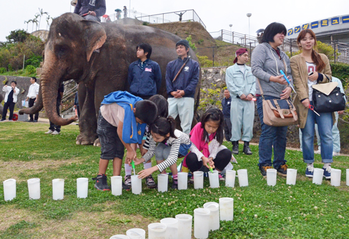 Elephants return to Fukushima after spending winter in Okinawa