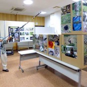 Habu-hunter Makishi opens a photo exhibit