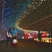 Fantastic tunnel of lights, New Year eve concert in Tomigusuku