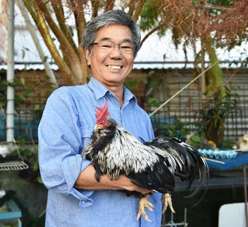 The Year of the Rooster 2017: Okinawan native chicken “chan” wishes happy New Year in a beautiful voice