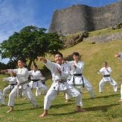 Local karate dojos hold first training of the year against background of World Heritage Site Katsuren Castle Ruins