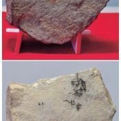 「石製装身具の破片」だと思います。 〇取寄品 [石黒製作所] ステンレスアジャスター A130型