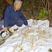 Complete skeleton found in cave in Yaese believed to belong to Japanese soldier