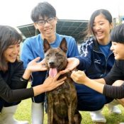 High School students work to save the Ryukyu-inu breed of dogs from going extinct