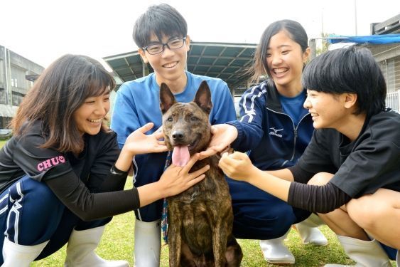 High School students work to save the Ryukyu-inu breed of dogs from going extinct