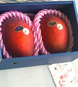 Mangos from Okinawa get priced at 150000 yen in Tokyo