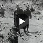 Ryukyu Shimpo and Yahoo co-create video on the Battle of Okinawa and military