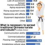 Survey conducted by Okinawa Prefecture finds 65% of people outside the island do not identify Okinawa as “The birthplace of Karate” – issues include lack of income and successors
