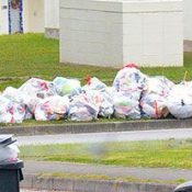 Waste site trouble caused suspension of garbage collection from military