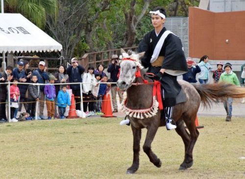 Sakura the Hokkaido horse performed solidly at Ryukyuan horse racing