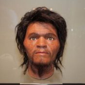 The National Museum of Nature and Science in Tokyo exhibits reconstructed face model of Paleolithic era person