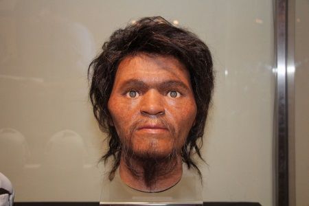 The National Museum of Nature and Science in Tokyo exhibits reconstructed face model of Paleolithic era person