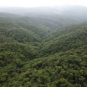 IUCN defers site spanning Kagoshima and Okinawa nominated for Natural World Heritage status