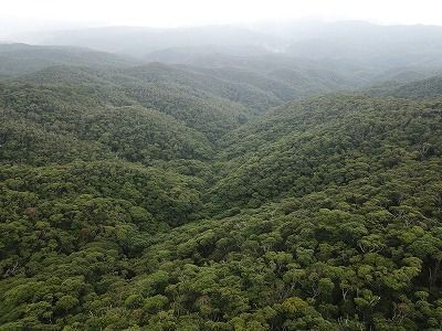 IUCN defers site spanning Kagoshima and Okinawa nominated for Natural World Heritage status