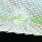 Okinawa Police determine broken farm shed windows caused by stray bullet