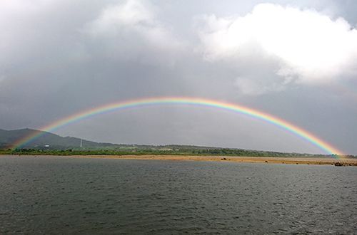 Brilliant rainbow appears in Iriomote Island, “feels like a good omen”