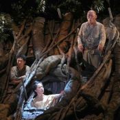 ‘Army on the Tree’ comes to Okinawa stage, resonating with Okinawans’ desire for peace