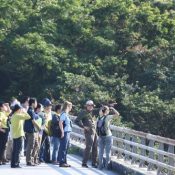 World Natural Heritage Site evaluations in Okinawa