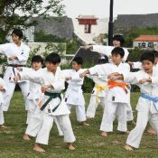 Six Dojos come together to perform Karate demonstration praying for the Shuri Castle reconstruction and to give courage to the region