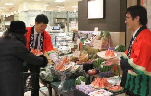 Providing winter watermelons to all of Japan	JA promotes Nakijin produce in Tokyo