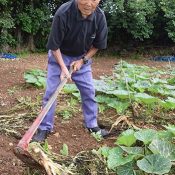 Active Grandpa Turns 100 “I wish I were 18 or 19 Again!” To the Fields Again Today	Mr. Yamajiro of Ie